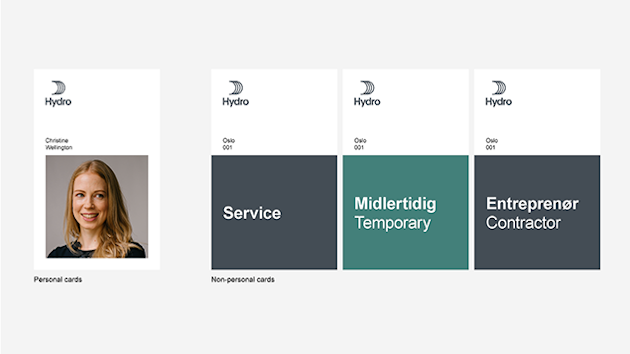 identity card with photo of a woman. Others with text only, representing Service, Temporary and Contractor