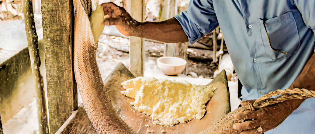 Tipitix project in Brazil