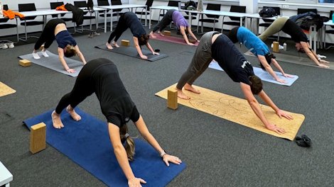 a group of people doing yoga