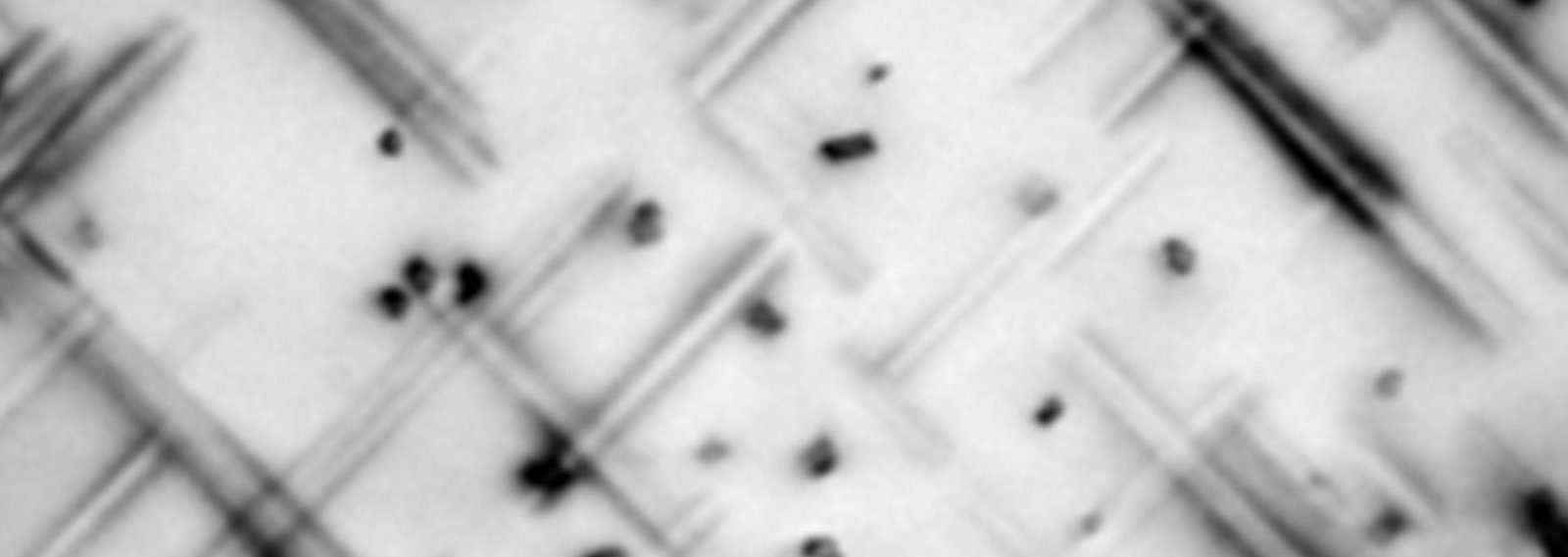 monochrome illustration photo